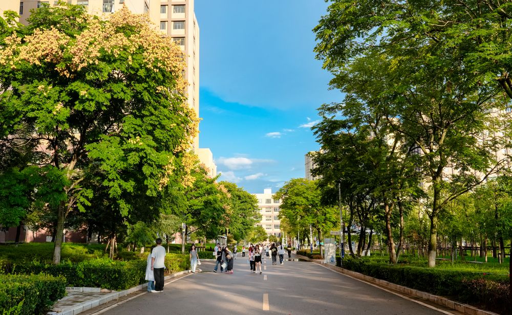 学校简介