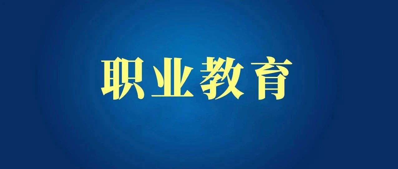 这一年，我们的职业教育蓬勃发展